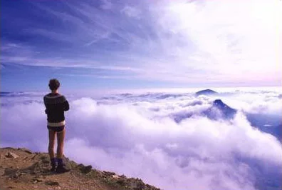7 Success Principles for Prosperity in Life and Business