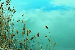 Is being sensitive a blessing or a curse?
