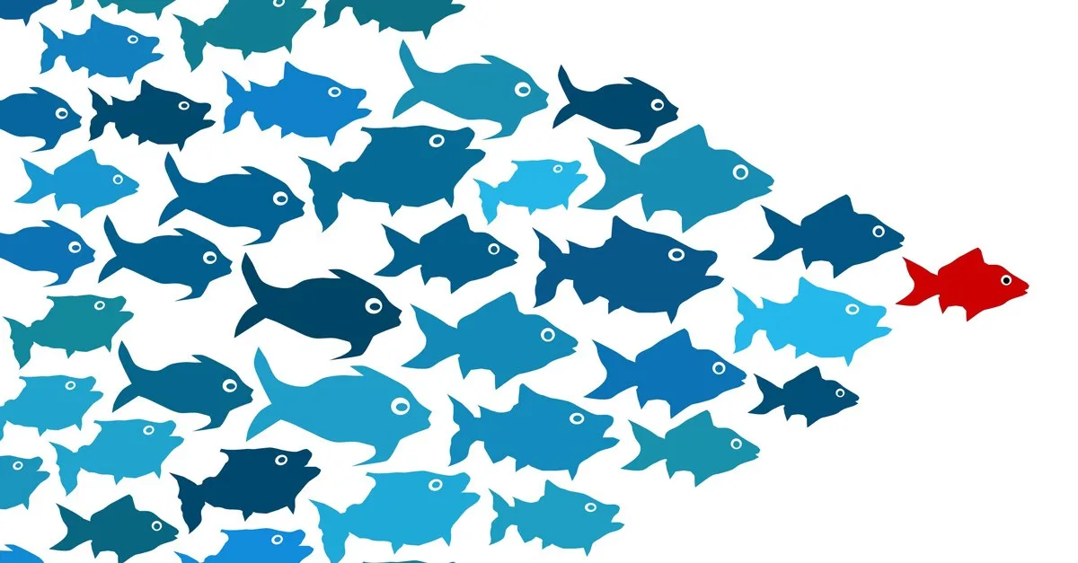 How to Sharpen your Brand in 6 Steps