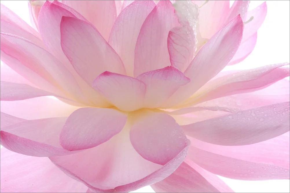 Awakening to Who We Are